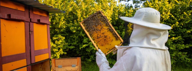 Fine & Greatest Honey Ever Produced