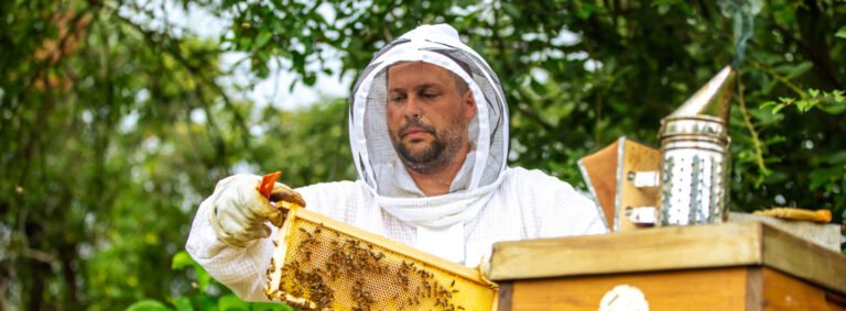Why Every Prepper Needs A Reserve Of Raw Honey